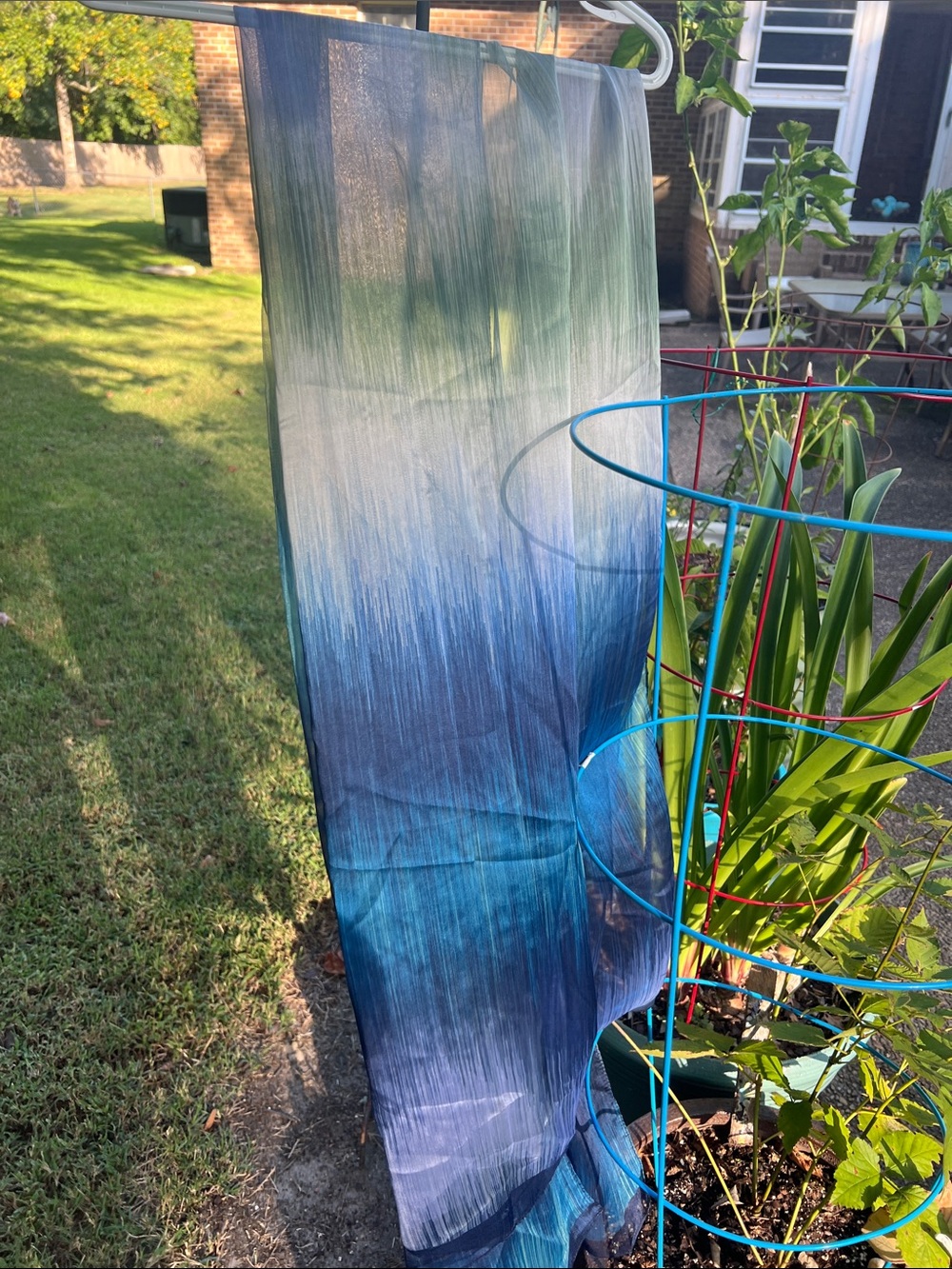 BCBGeneration Teal, Blue & Navy Ombre Sheer Scarf Wrap
